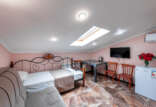 TAN_5355 TAN_5355