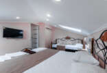 TAN_5387 TAN_5387