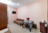 TAN_5597 TAN_5597